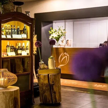 Boutique Eco Sasanka 3* 斯克拉斯卡波伦巴