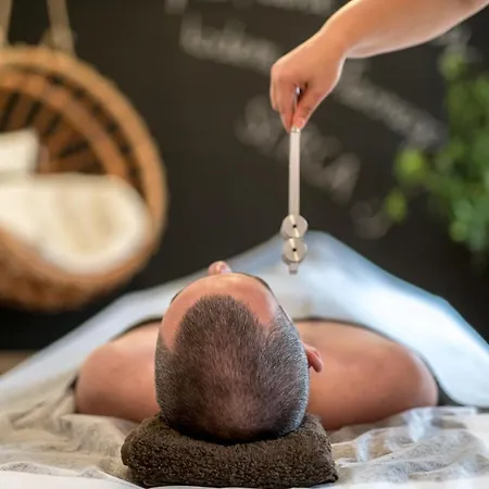 Boutique Eco Sasanka 酒店