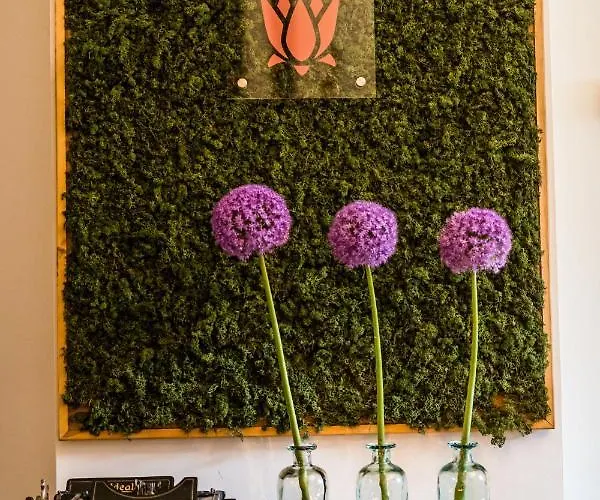 Boutique Eco Sasanka