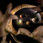 Boutique Eco Sasanka 3* شكلارسكا بوريبا