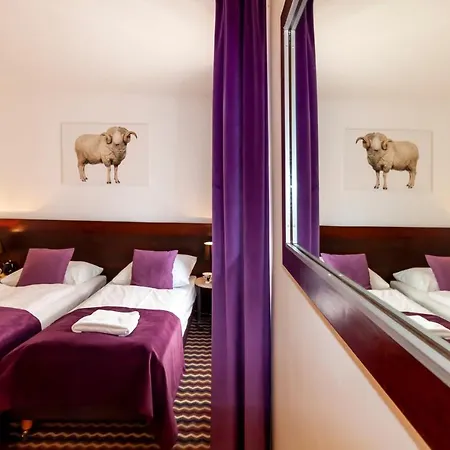 Boutique Eco Sasanka Sklářská Poruba