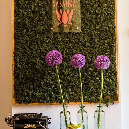 Boutique Eco Sasanka