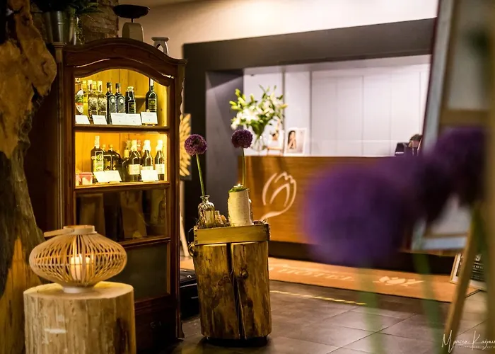 Boutique Eco Sasanka 3* Schreiberhau