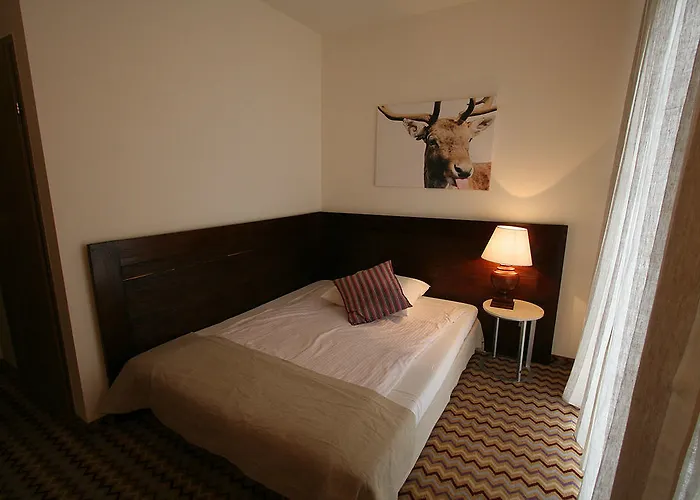 Hotel Boutique Eco Sasanka Schreiberhau